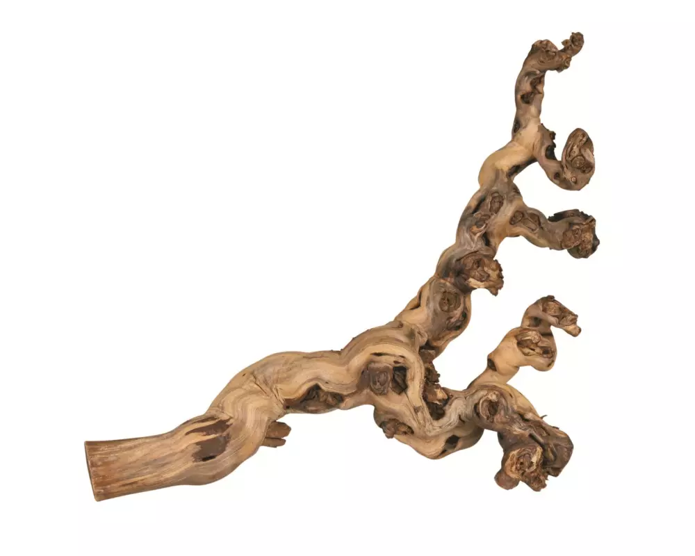 Trixie Weinrebenwurzel XL wassergestrahlt, 55 - 80 cm