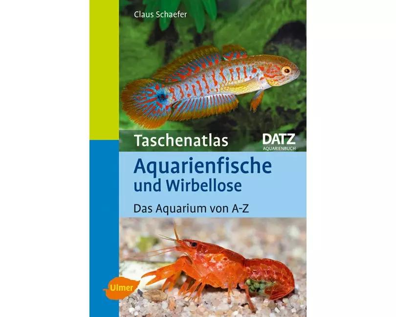 Aquarienfische und Wirbellose