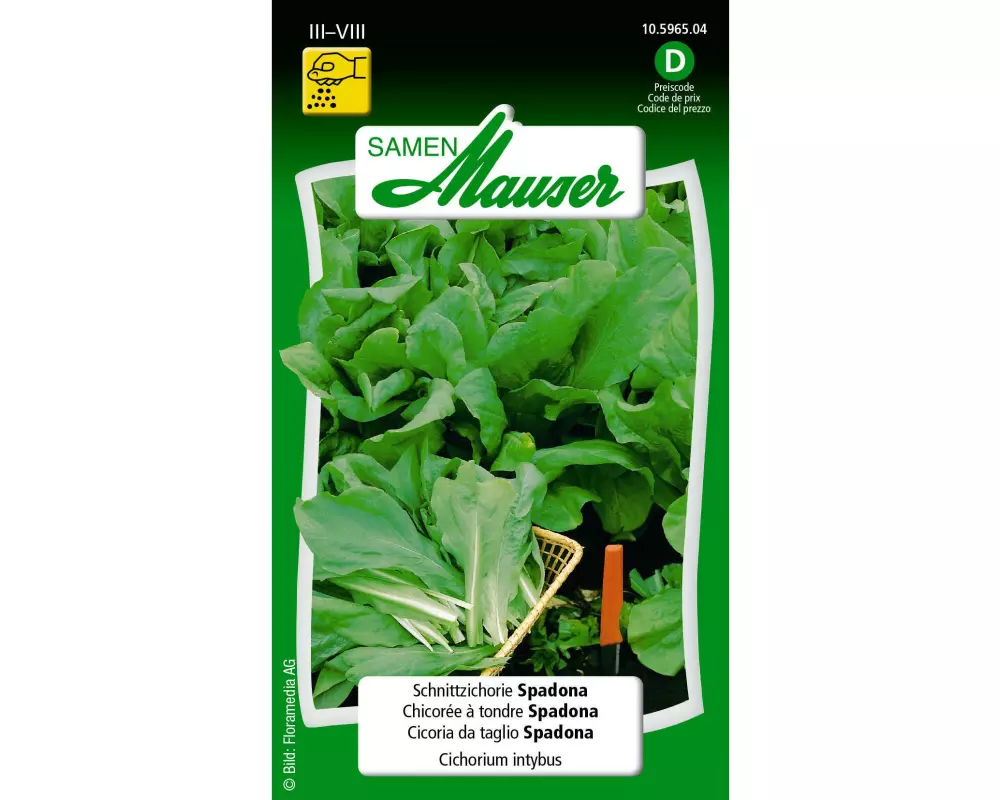 Samen Mauser Samen Schnittzichorie Spadona