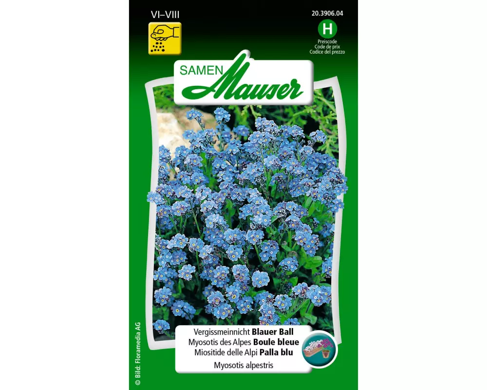 Samen Mauser Saatgut Vergissmeinnicht Blauer Ball