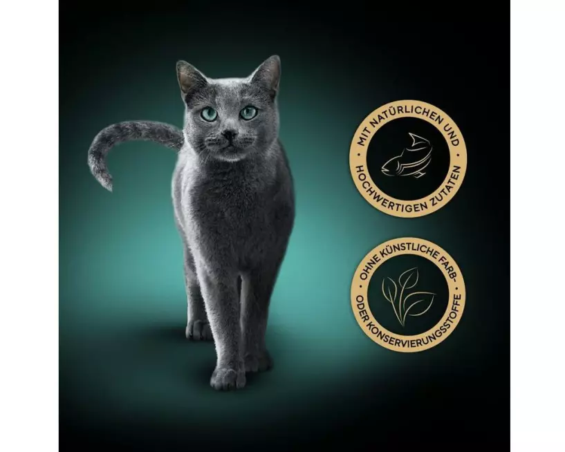 Sheba Soup Selection 1280 g