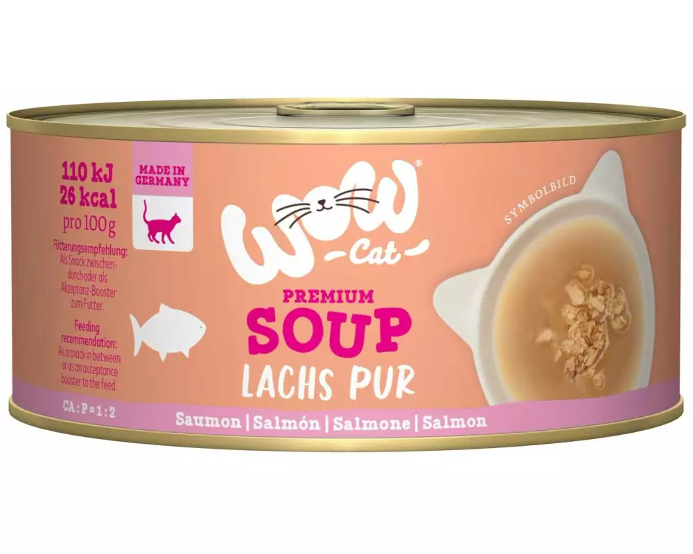 WOW Suppe mit Lachs, 70 g