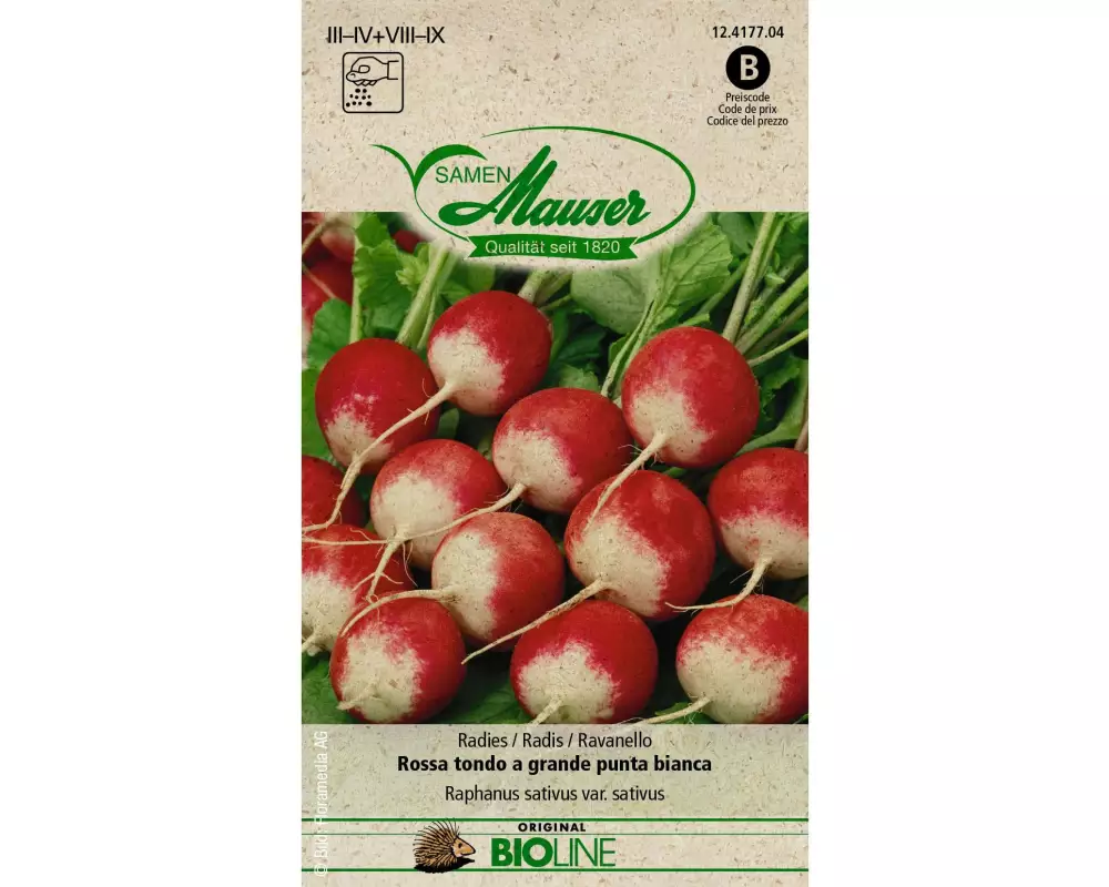 Samen Mauser Samen BIO Radies Rossa tondo a grande punta bianca