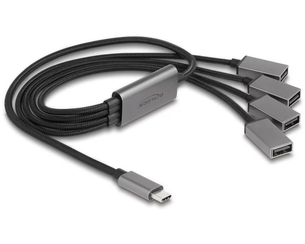 Delock USB-Hub USB 2.0 - 4x USB-A, USB Type-C, 60 cm