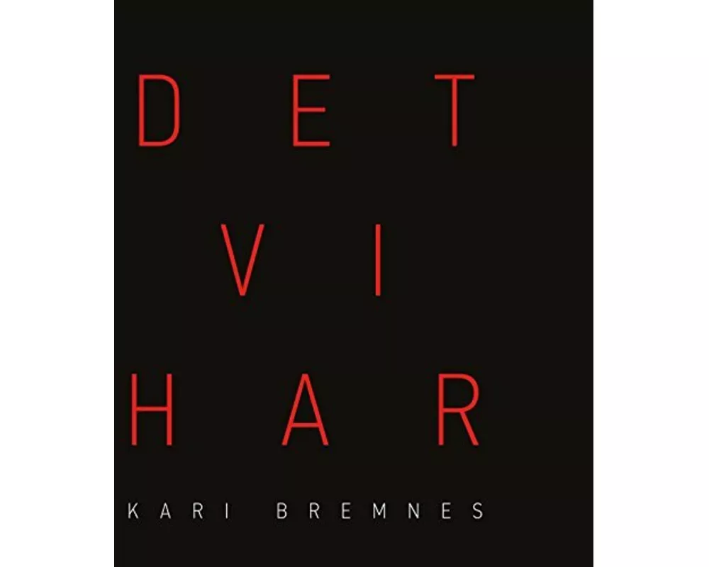 Det vi har