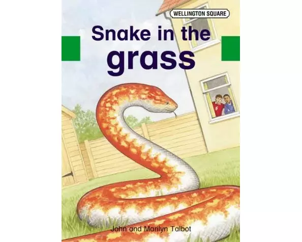 Wellington Square Assessment Kit - Snake in the Grass