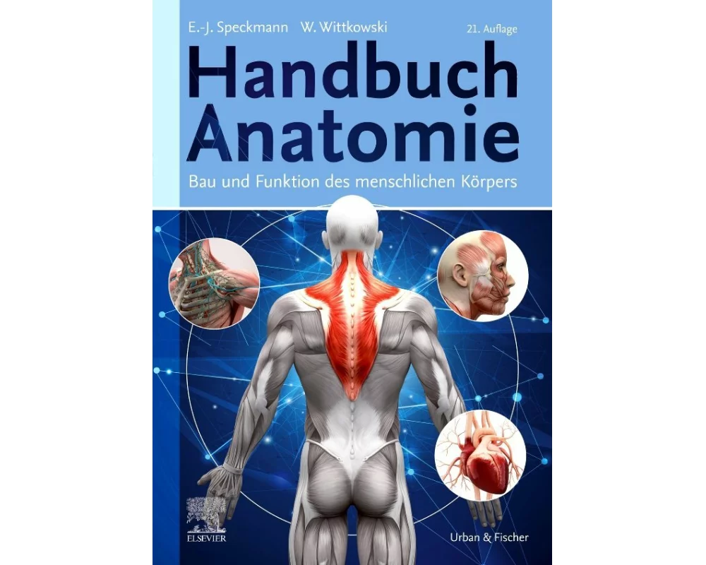 Handbuch Anatomie