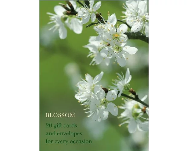 Blossom Large Card Box