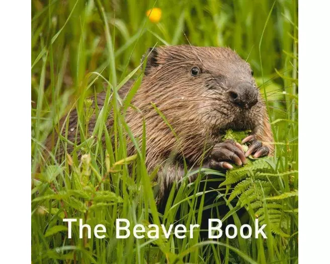Nature Book Series: The Beaver Book