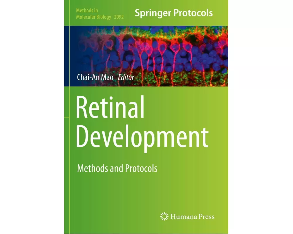 Retinal Development