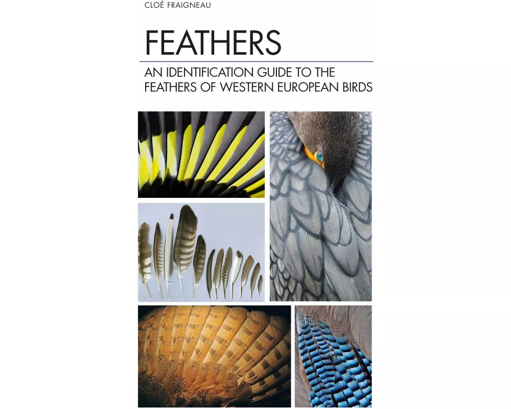 Feathers