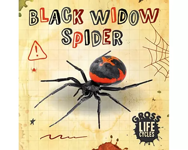 Black Widow Spider