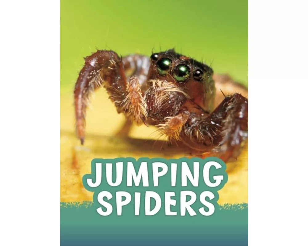 Jumping Spiders