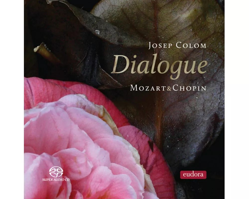 Dialog