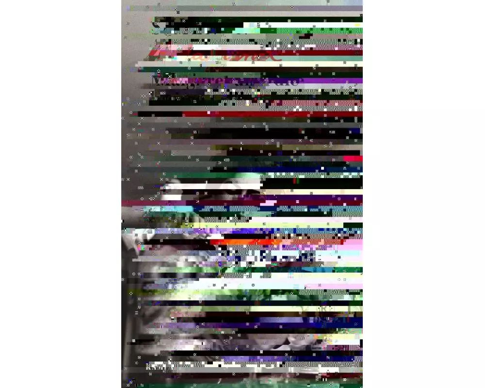 Maigret und die kleine Landkneipe