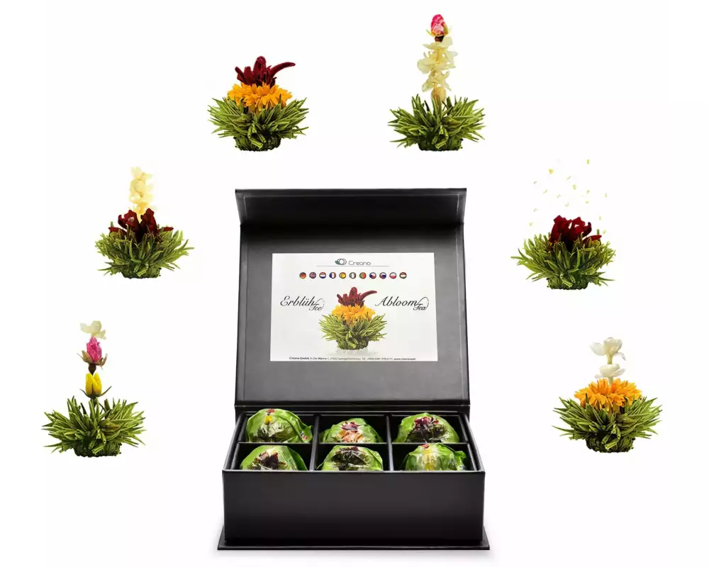 Creano Erblühtee grüner Tee fruity flavor 6er Magnetbox