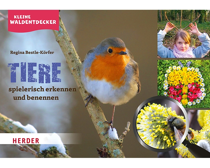 Kleine Waldentdecker: Tiere