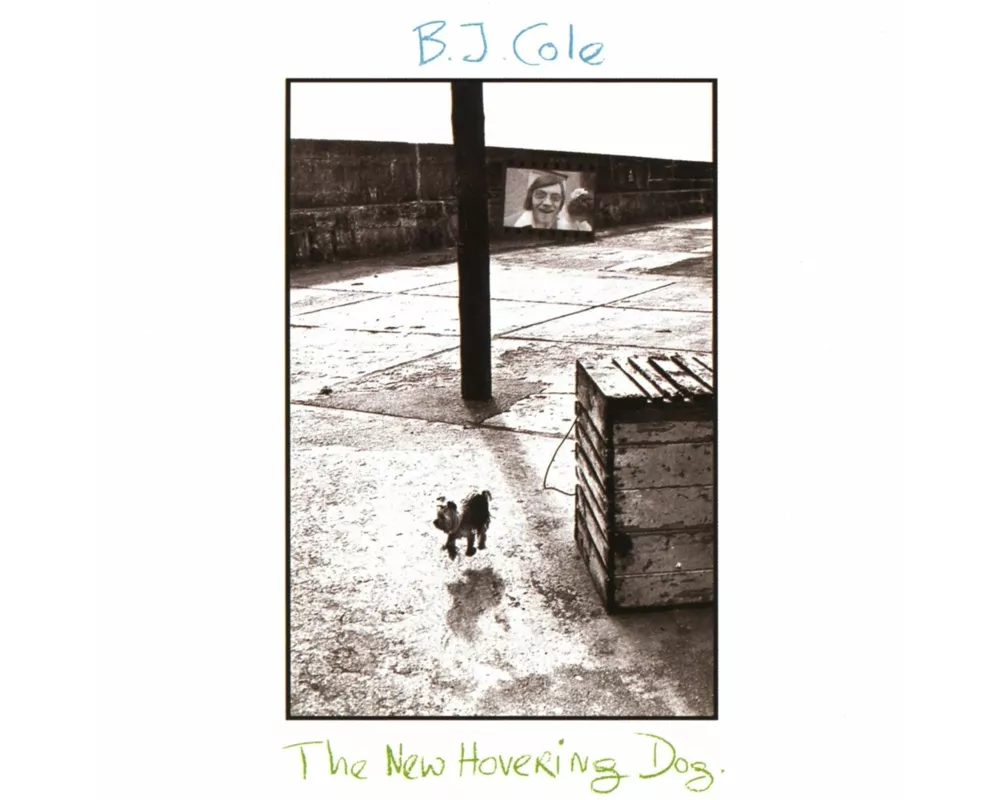 The New Hovering Dog