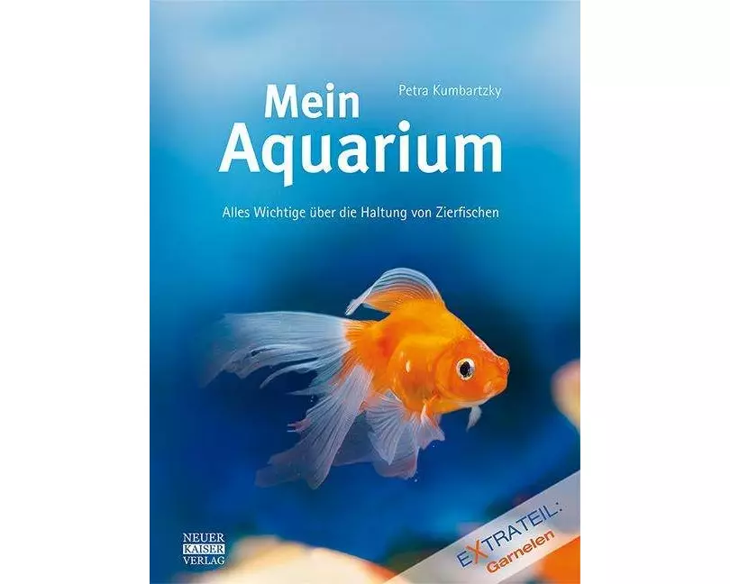 Mein Aquarium