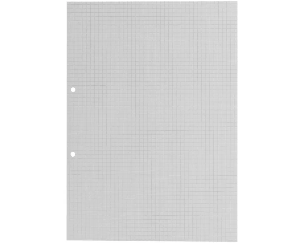 office focus Ringbucheinlagen FSC, 2-Loch, ohne Rand 5 mm Kariert