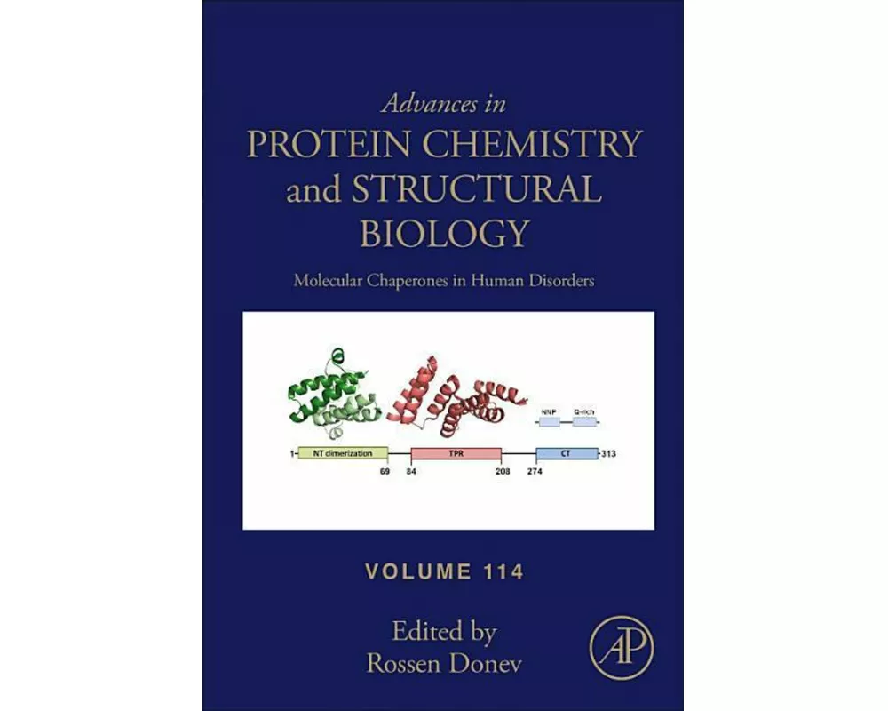 Molecular Chaperones in Human Disorders