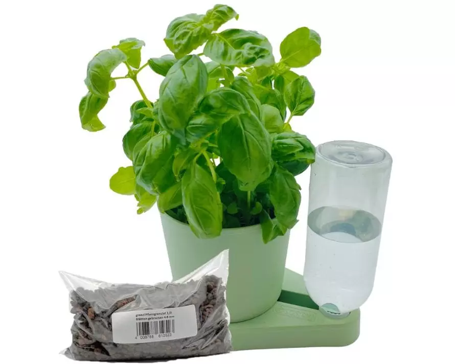 Greevi Kräuterheld und Pflanzgranulat Bundle Hellgrün