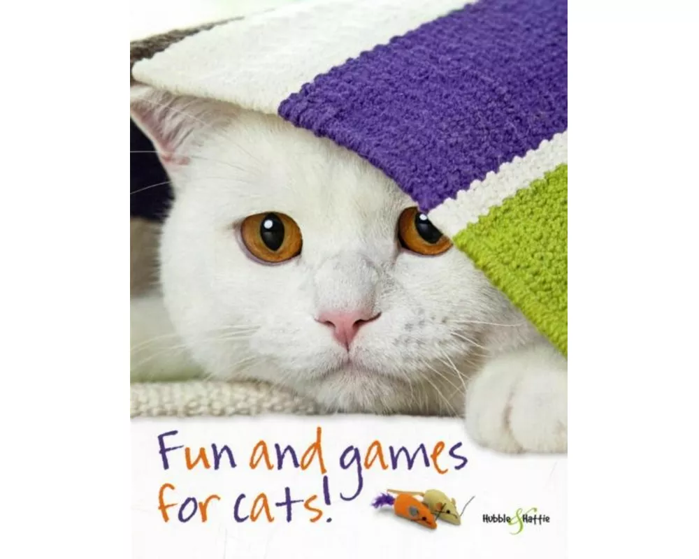Fun and Games for Cats!