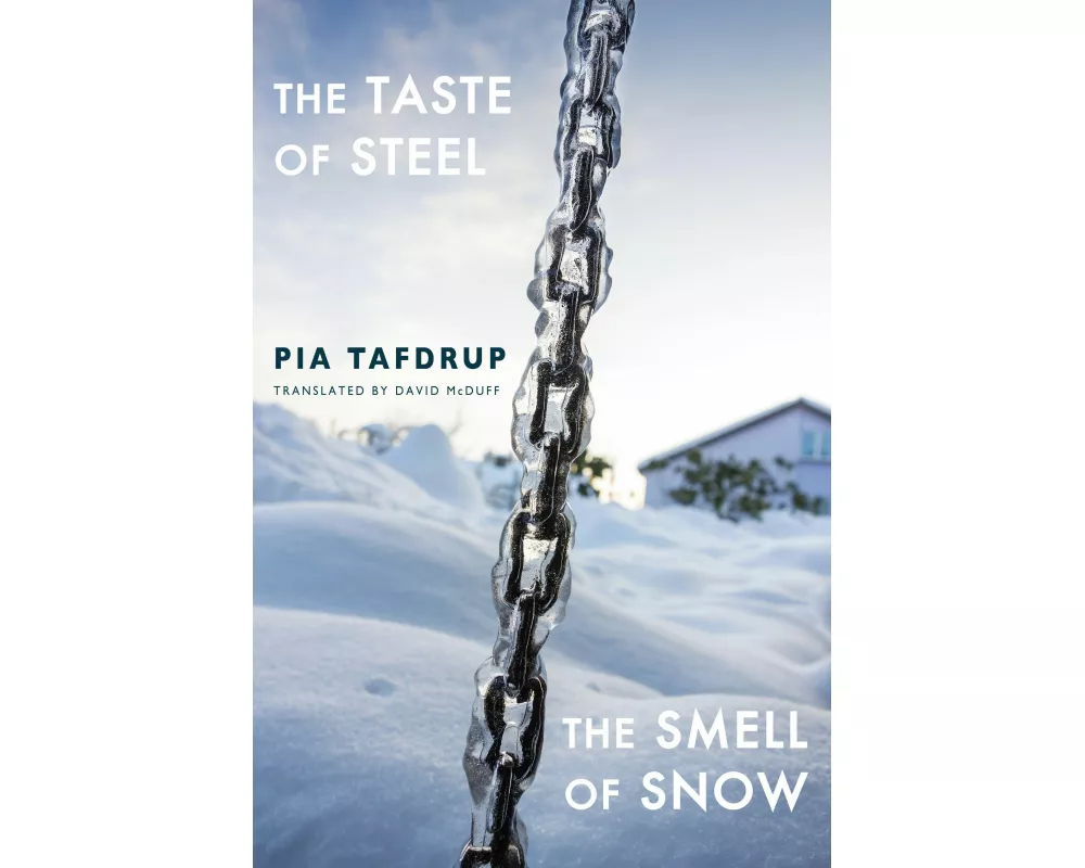 The Taste of Steel • The Smell of Snow