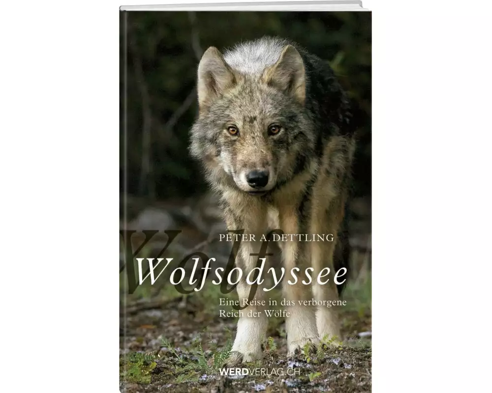 Wolfsodyssee