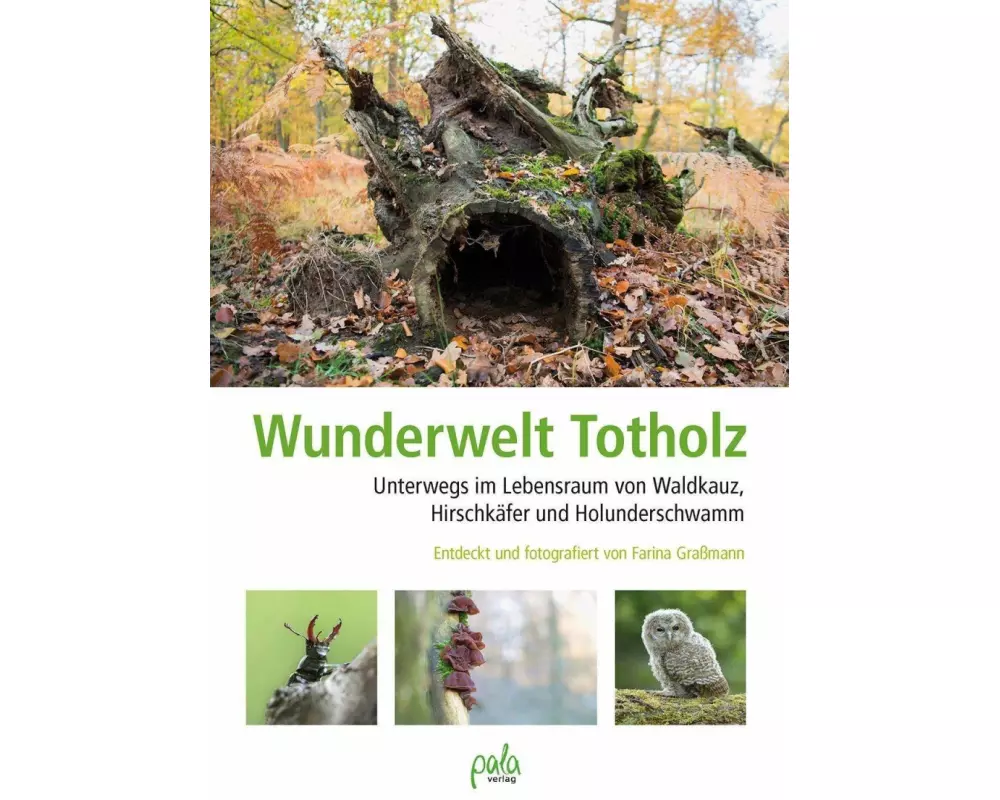 Wunderwelt Totholz