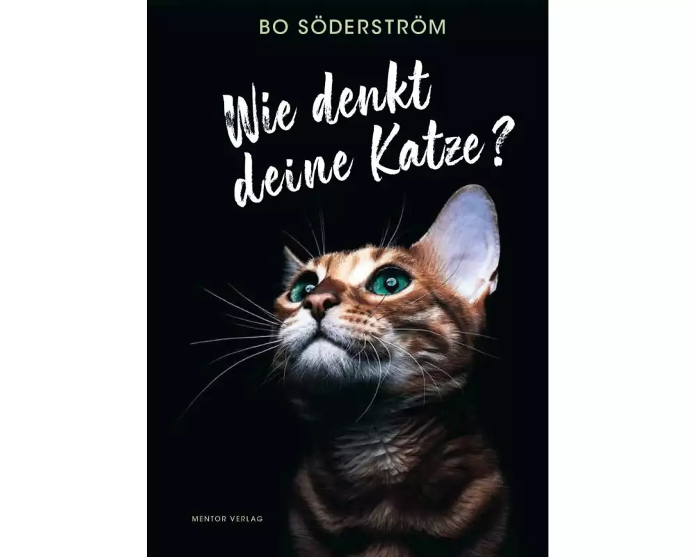 Wie denkt deine Katze?