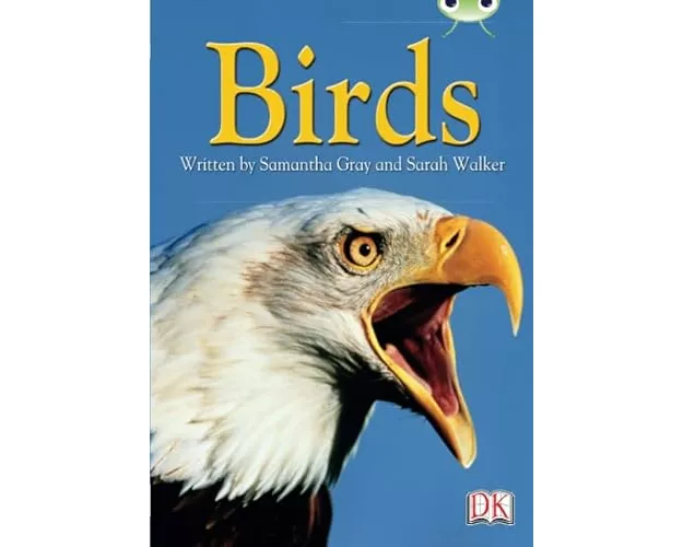 BC NF Grey B/4C Birds