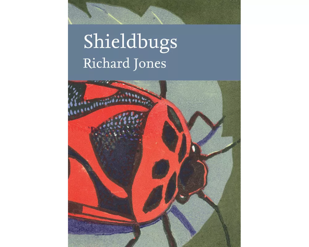 Shieldbugs
