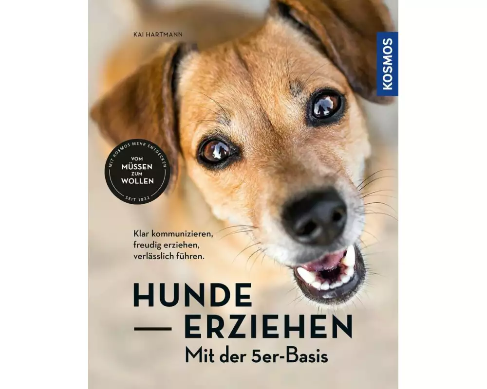 Hunde erziehen – mit der 5er-Basis