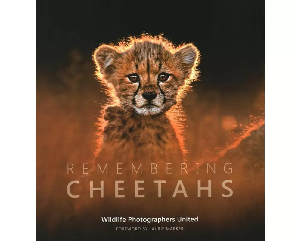 Remembering Cheetahs