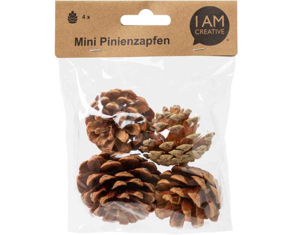 I AM CREATIVE Pinienzapfen 6102.871 mini 4 Stück