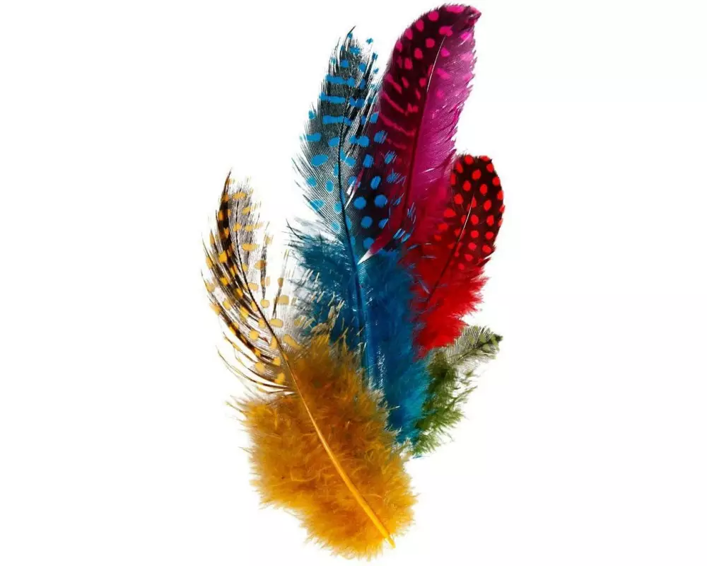 Creativ Company Federn Perlhuhn Mehrfarbig