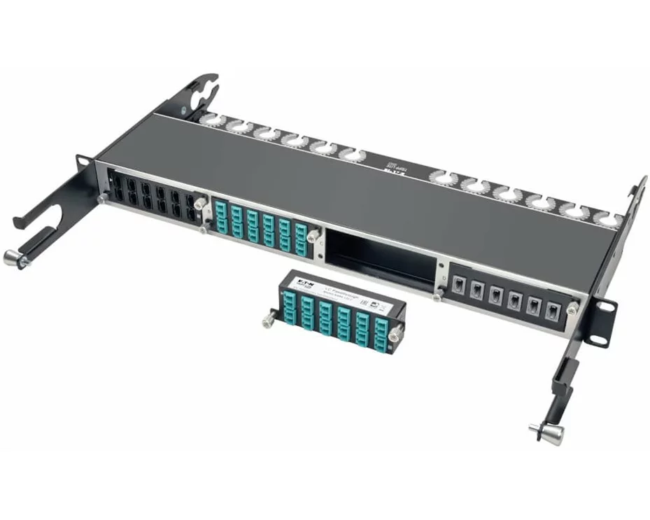 EATON TRIPPLITE 10GbE Pass-Through Cassette - x12 LC, Duplex