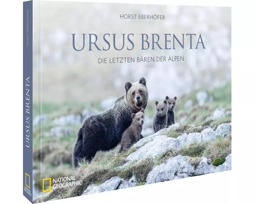 Ursus Brenta — Die Rückkehr der Bären in die Alpen