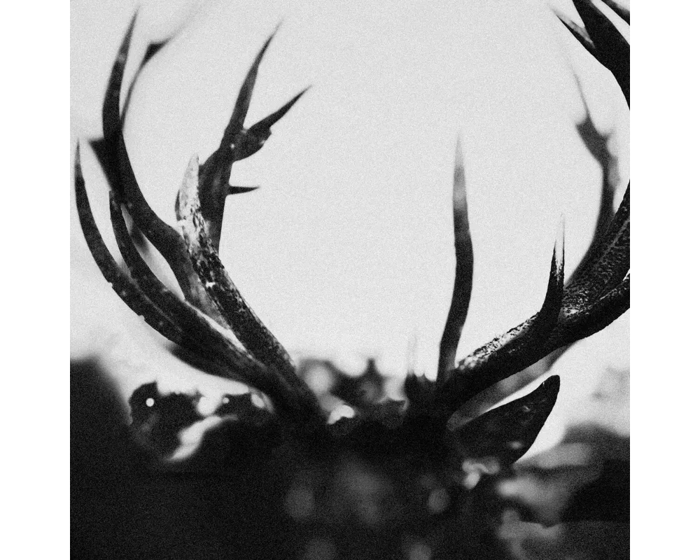 Ihsahn