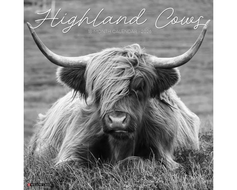Highland Cows (B&w) 2026 Wall Calendar