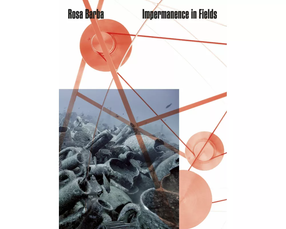 Rosa Barba. Impermanence in Fields