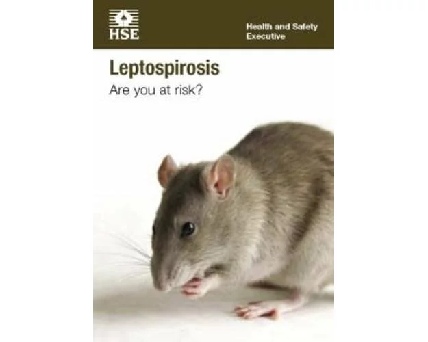 Leptospirosis: are you at risk? (pack of 15 pocket cards)