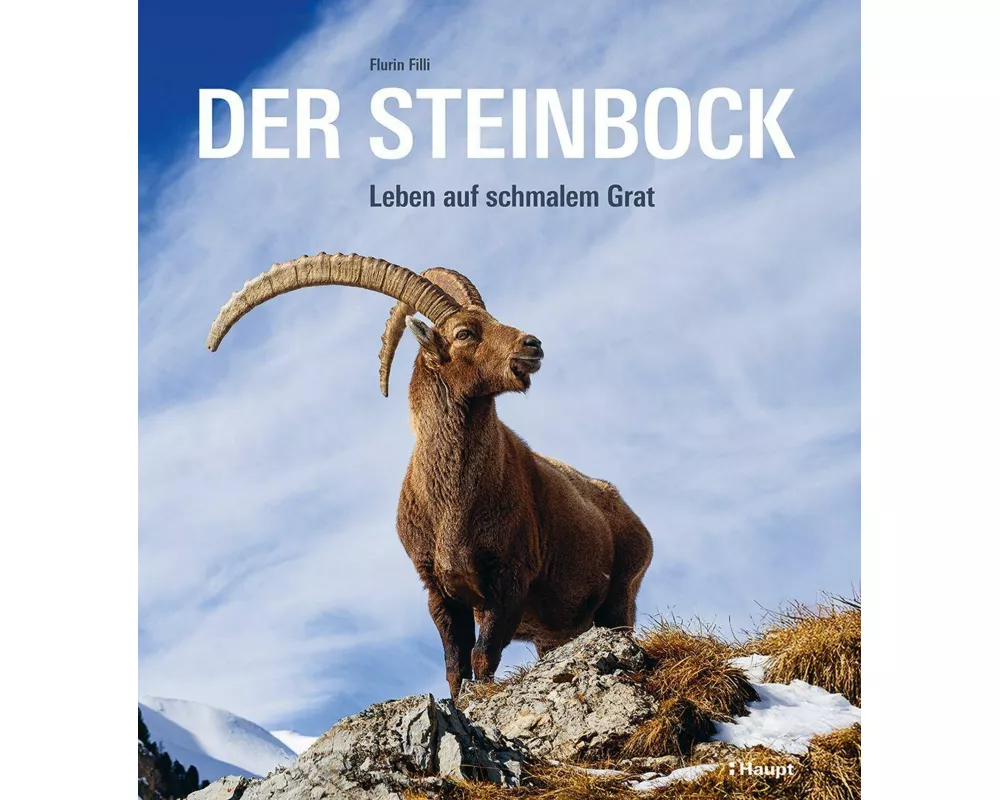 Der Steinbock