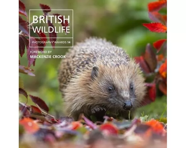 British Wildlife Photography Awards 14