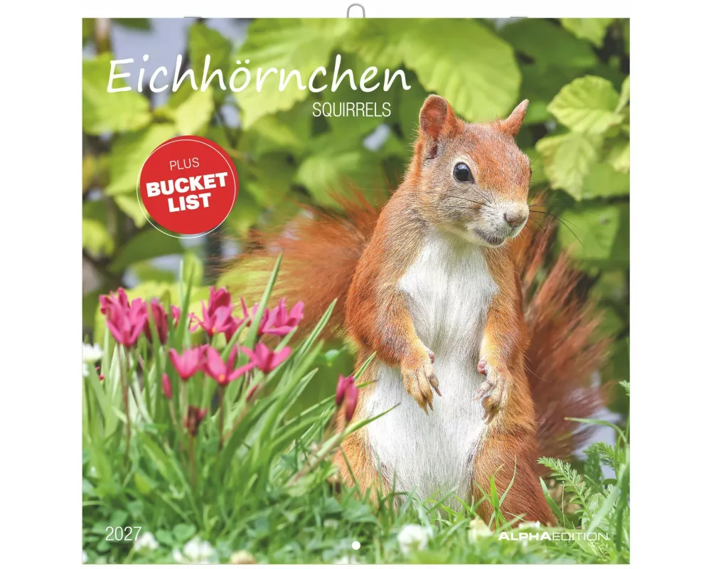 Eichhörnchen 2027