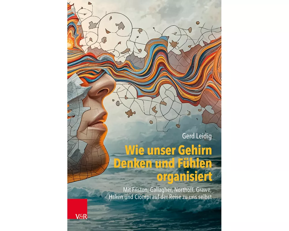 Wie unser Gehirn Denken und Fühlen organisiert