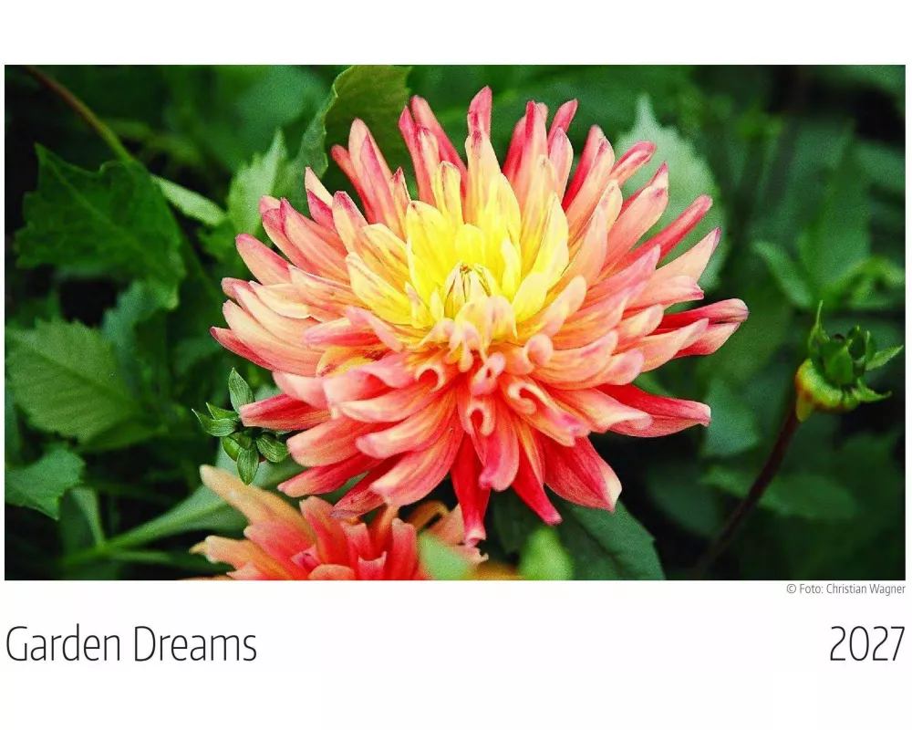 Garden Dreams Kalender 2027