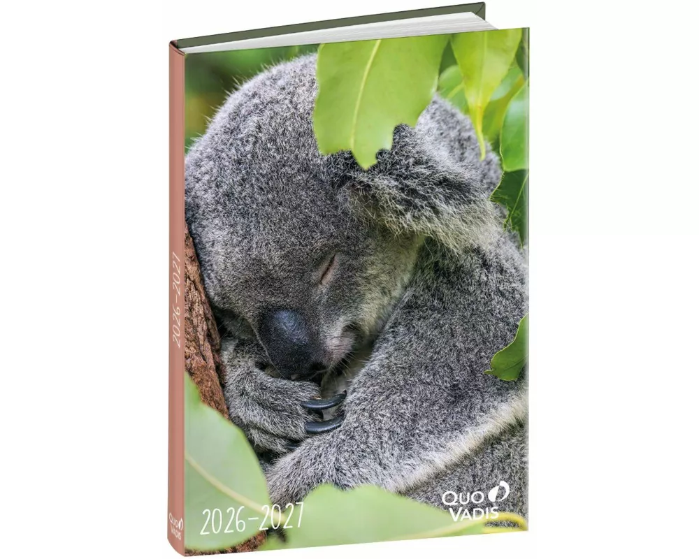 Schülerkalender Forum Tiere Koala 2026 / 2027