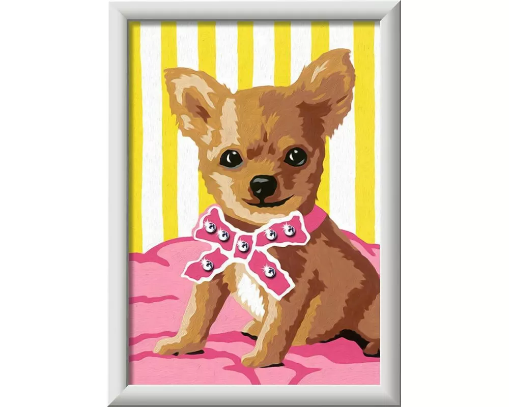 CreArt - Malen nach Zahlen - Kleiner Chihuahua